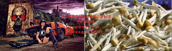 мяу мяу мука Володарск
